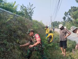 Rumput Liar Mengancam Lingkungan, Babinsa Pebayuran Turun Tangan
