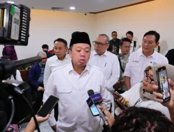 Dukung Ketahanan Pangan, Pemerintah Akan Tetapkan Lahan Sawah yang Dilindungi di 12 Provinsi