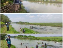 Gerak Cepat Asmen PJT II UUW I Lemah Abang, Saluran Irigasi BKG 18–BKG 19 Dibersihkan Demi Sawah Petani