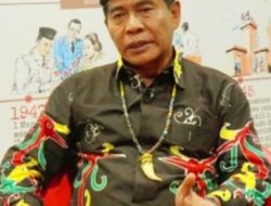 Nelayan Kaltara Wajib Tahu: Ada 43 Hiu Air Tawar Langka di Sungai Sesayap, Begini Instruksi Gubernur!