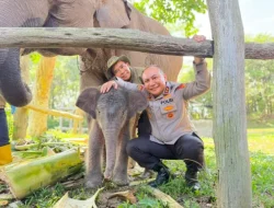Kapolda Riau Namai Anak Gajah Tesso Nilo “Nona Seroja”, Simbol Harapan Baru Konservasi