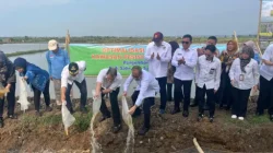 Dari Padi Biosalin Ke Minapadi Salin, PGN – BRIN – Pemkab Batang Dorong Nilai Ekonomi Lahan Pesisir Batang