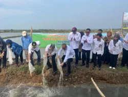 Dari Padi Biosalin Ke Minapadi Salin, PGN – BRIN – Pemkab Batang Dorong Nilai Ekonomi Lahan Pesisir Batang