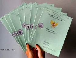 Kenali Prosedur dan Syarat Pemisahan Bidang Tanah