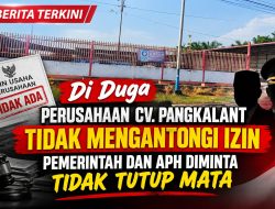Diduga CV. PANGKALANT, Tidak Mengantongi Ijin Operasional, Ada Apa Dengan Pemerintah dan APH?
