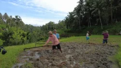 66 Tahun Peringatan UUPA, Kementerian ATR/BPN Akselerasi Sejumlah Program Strategis di Bidang Pertanahan dan Tata Ruang