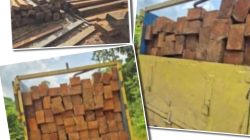 Klarifikasi Pemberitaan Dugaan Illegal Logging, Eko dan Kanit Intel Polsek Sandai Soroti Pentingnya Konfirmasi